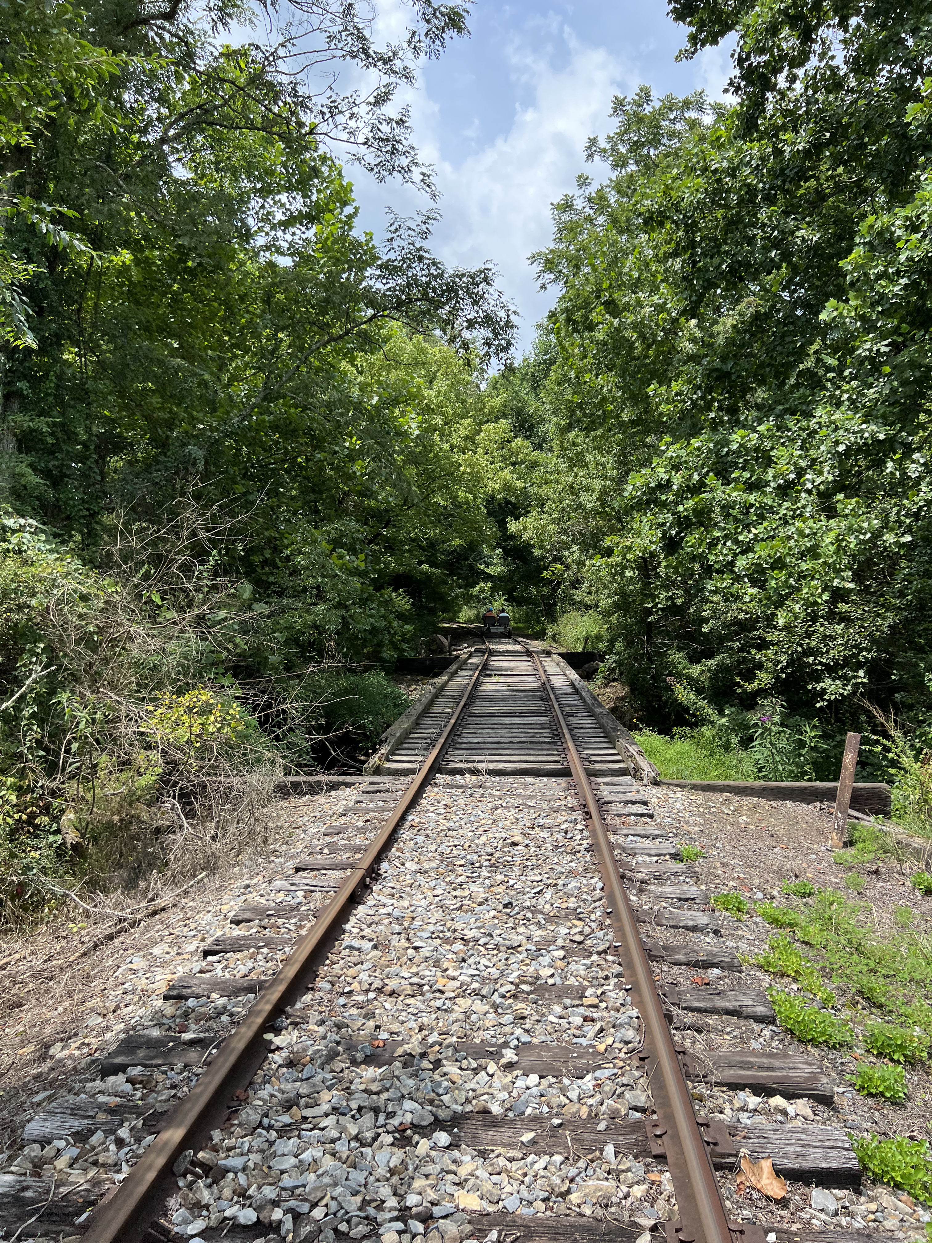 ./2023/11 - Asheville/IMG_9905.jpg